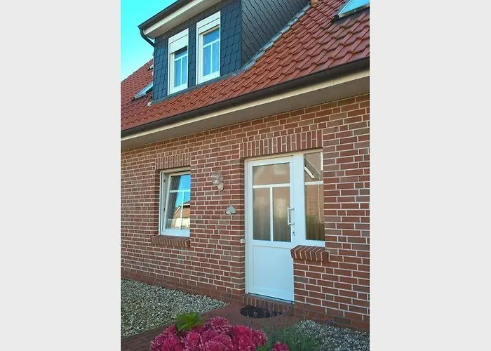 Muschelsucher * نورديش